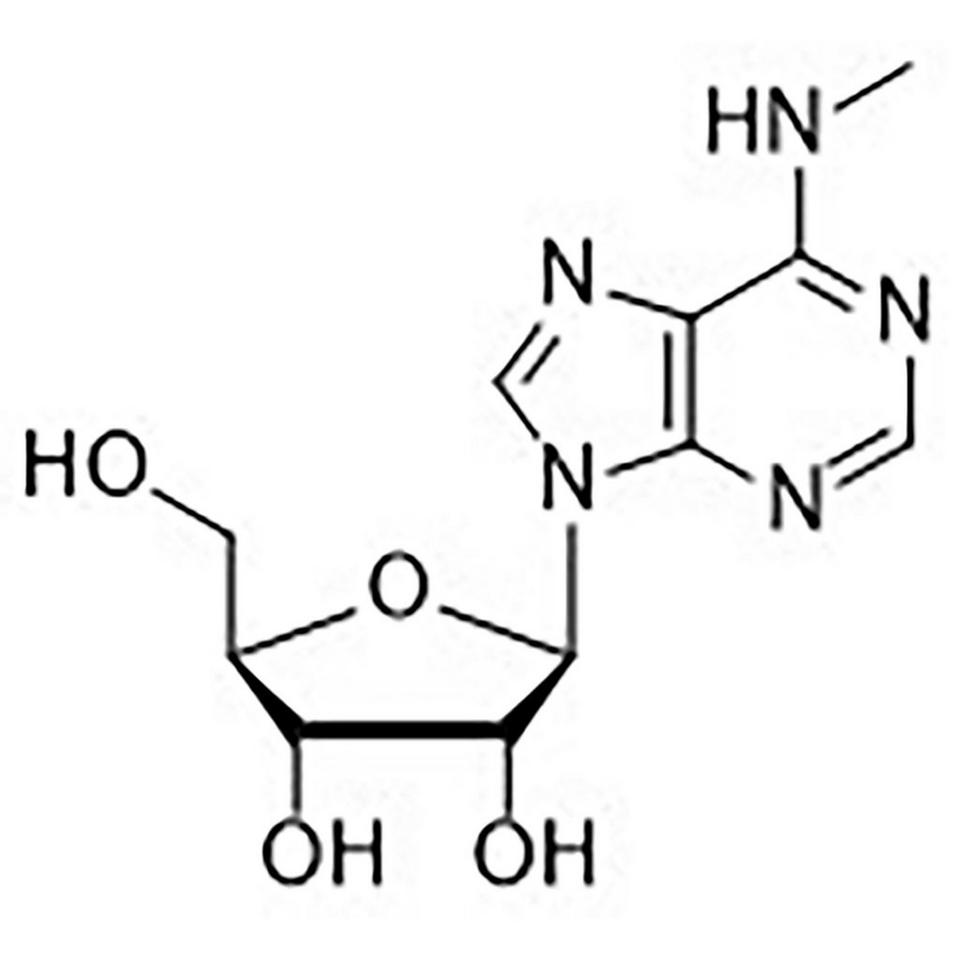N6-Methyladenosine, 1 g, Glass Screw-Top